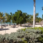 Couples Negril beach