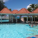 Jewel Dunn's River